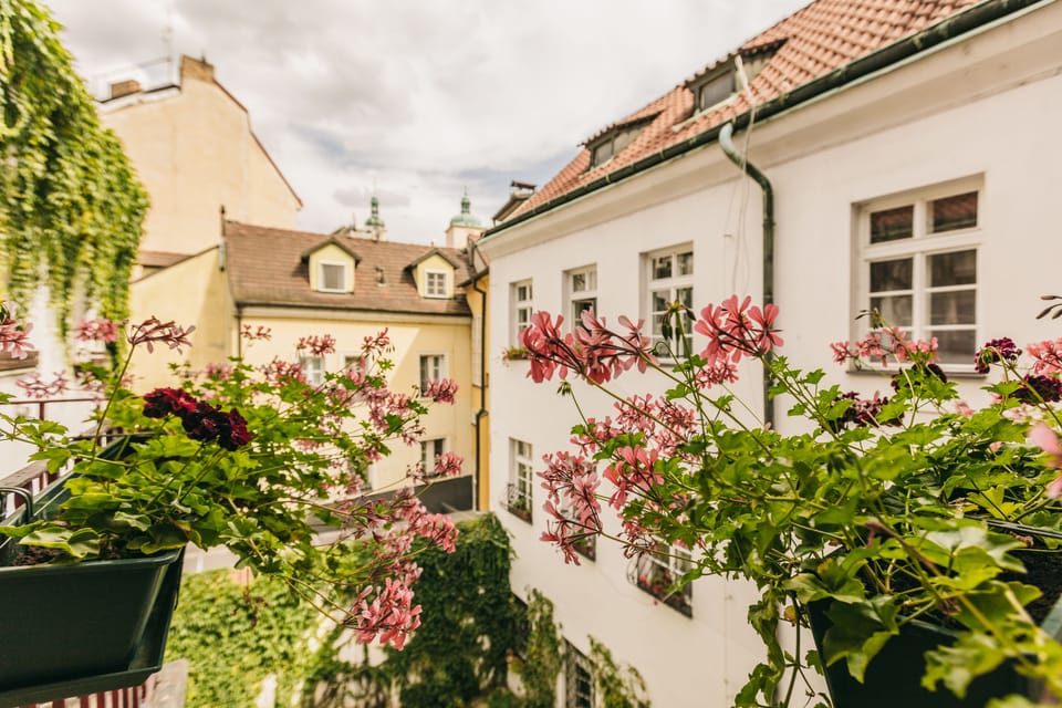 Courtyard view