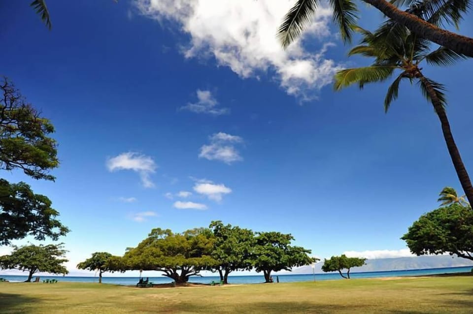 Land view from property