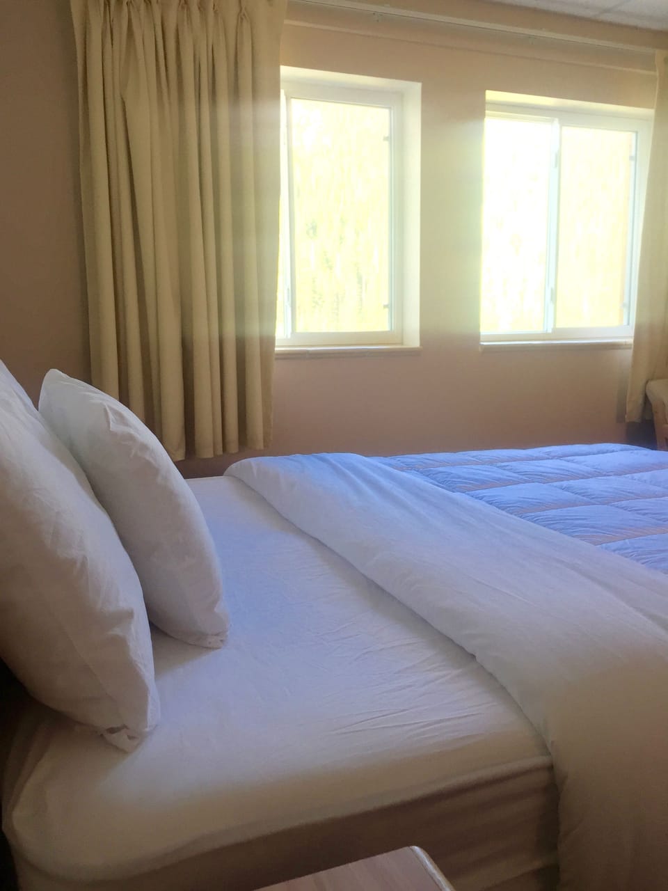 Premium bedding, down comforters, desk, iron/ironing board