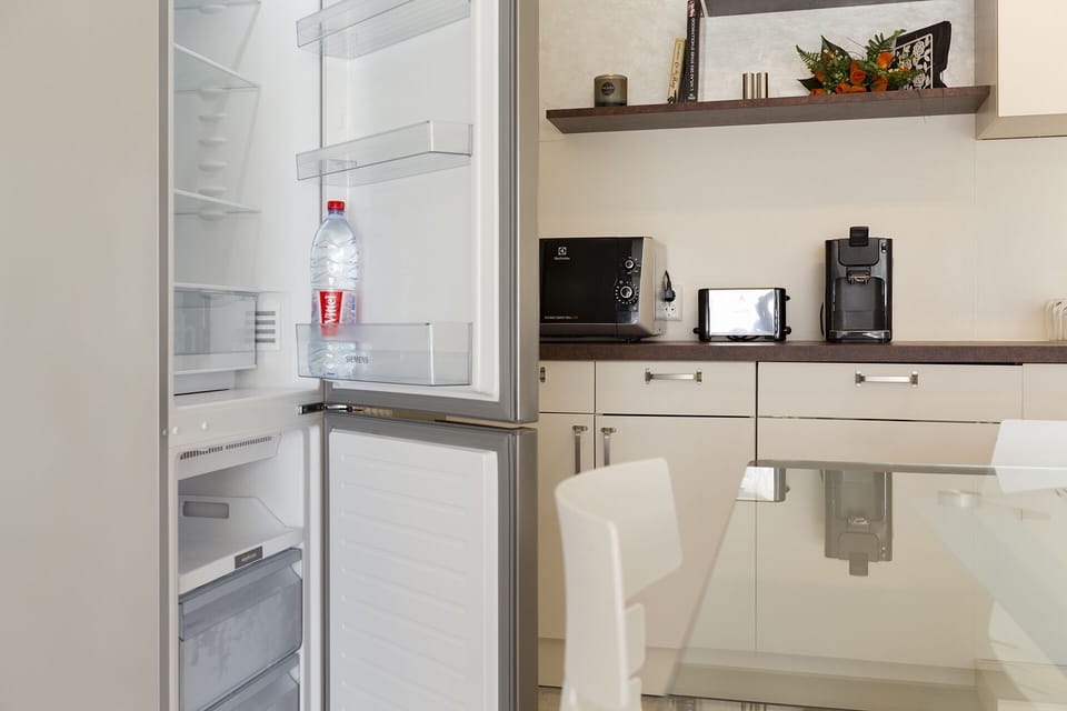 Deluxe Apartment | Private kitchen | Fridge, microwave, oven, stovetop