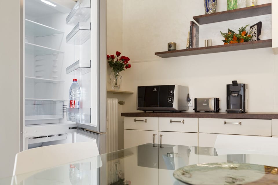 Deluxe Apartment | Private kitchen | Fridge, microwave, oven, stovetop