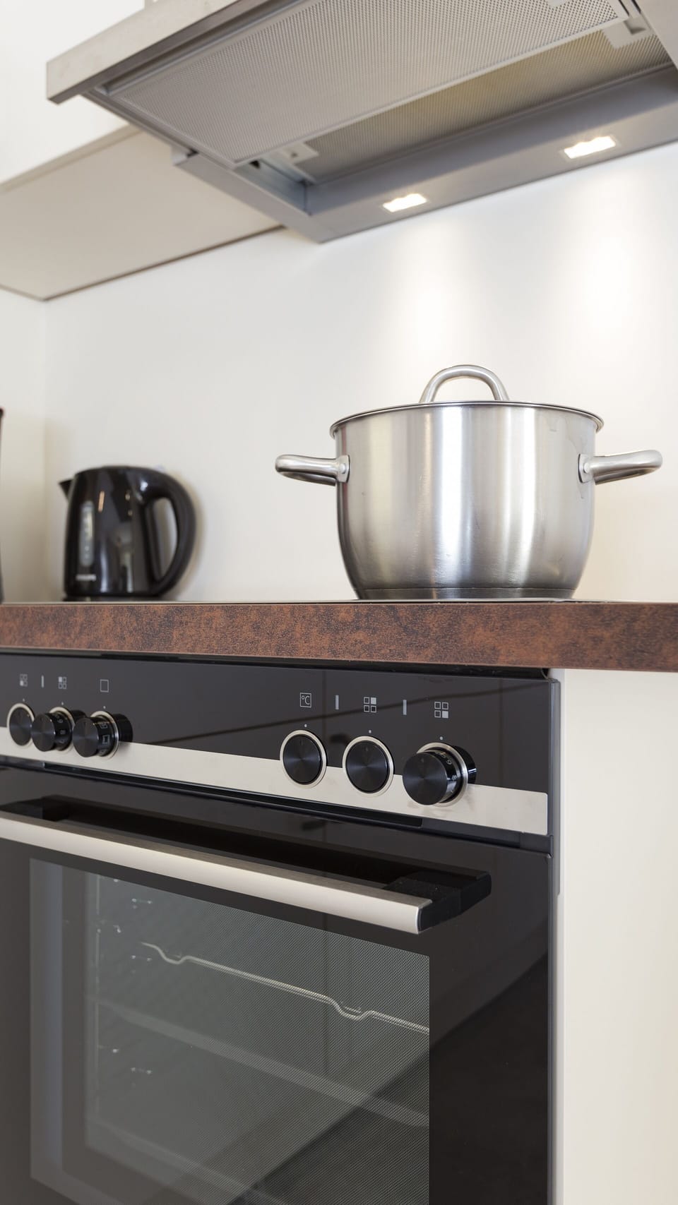 Deluxe Apartment | Private kitchen | Fridge, microwave, oven, stovetop