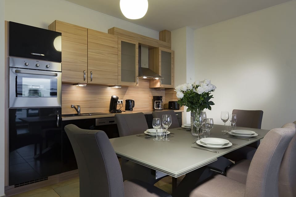 Deluxe Apartment | Private kitchen | Fridge, dishwasher, electric kettle, toaster