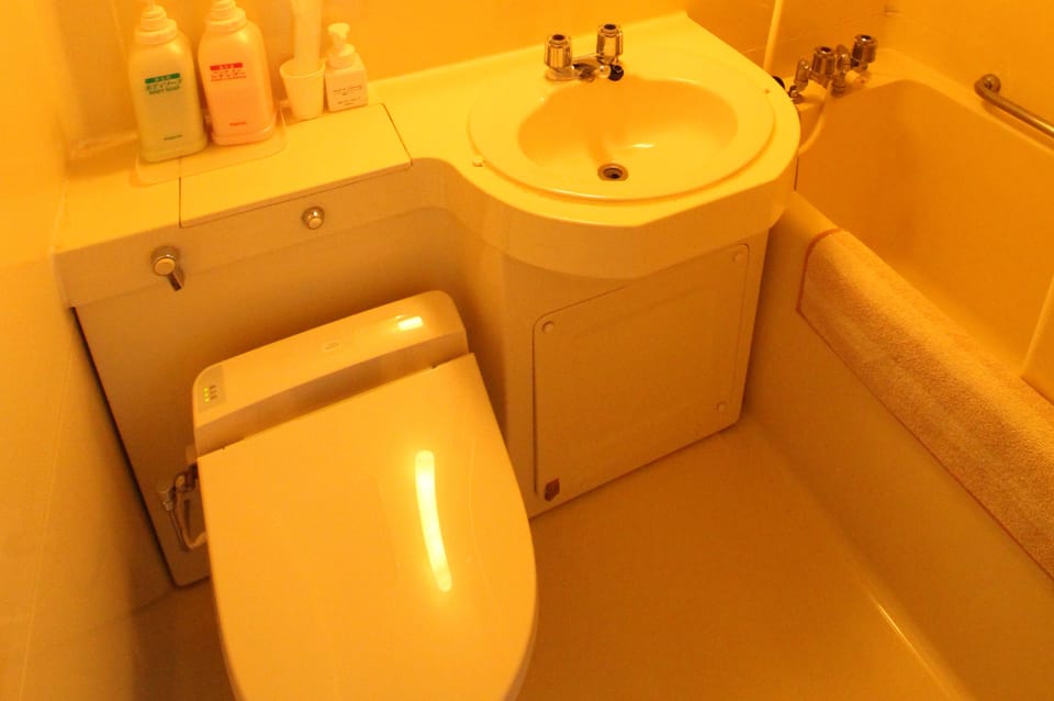 Combined shower/tub, free toiletries, hair dryer, slippers