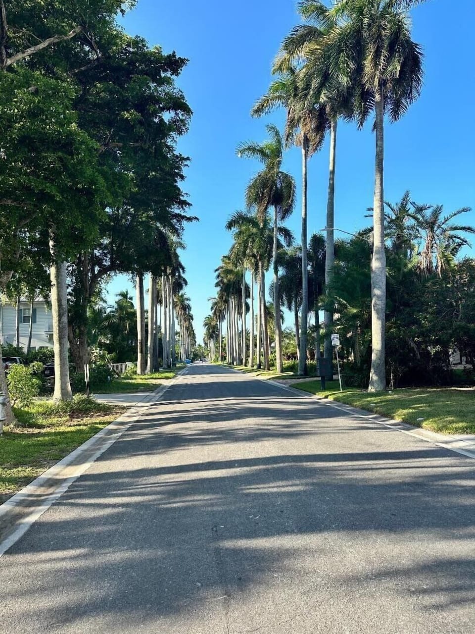 The neighborhood and street are lined with high-end homes, and the villa is located in an incredibly safe area.