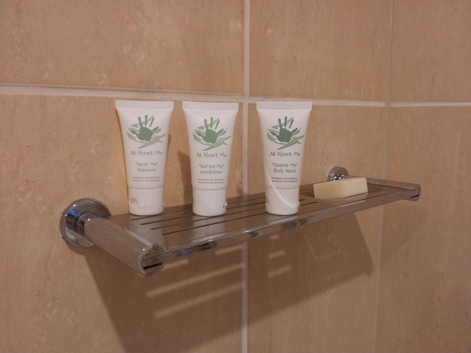 Eco-friendly toiletries, hair dryer, slippers, heated floors (bathroom)