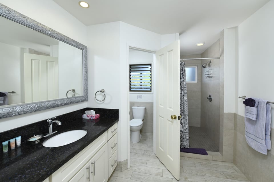 Deluxe Room, 1 Queen Bed, Garden View (Not a Cottage) | Bathroom | Shower, free toiletries, hair dryer, towels