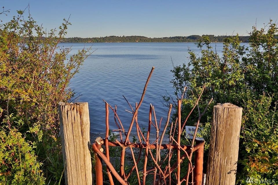 Whispers of the water.