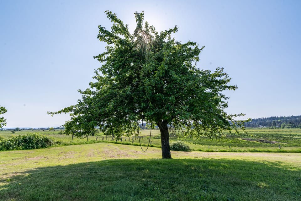 An artwork of beauty.