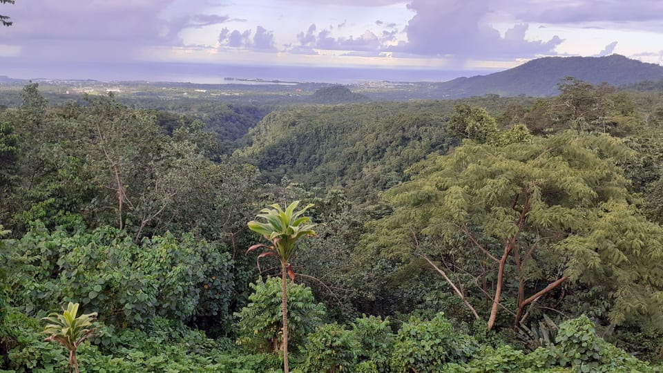 Dave Parker's Eco Lodge Lodge in Upolu