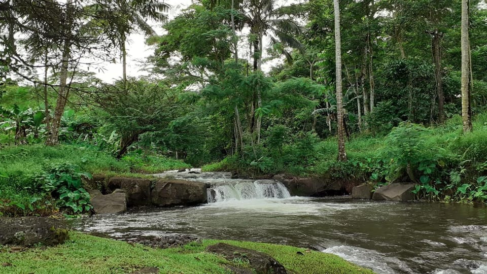 Dave Parker's Eco Lodge Lodge in Upolu