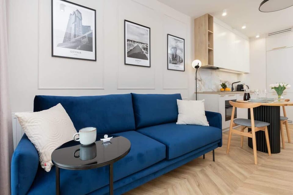 Comfortable, fold-out sofa in the living room. 