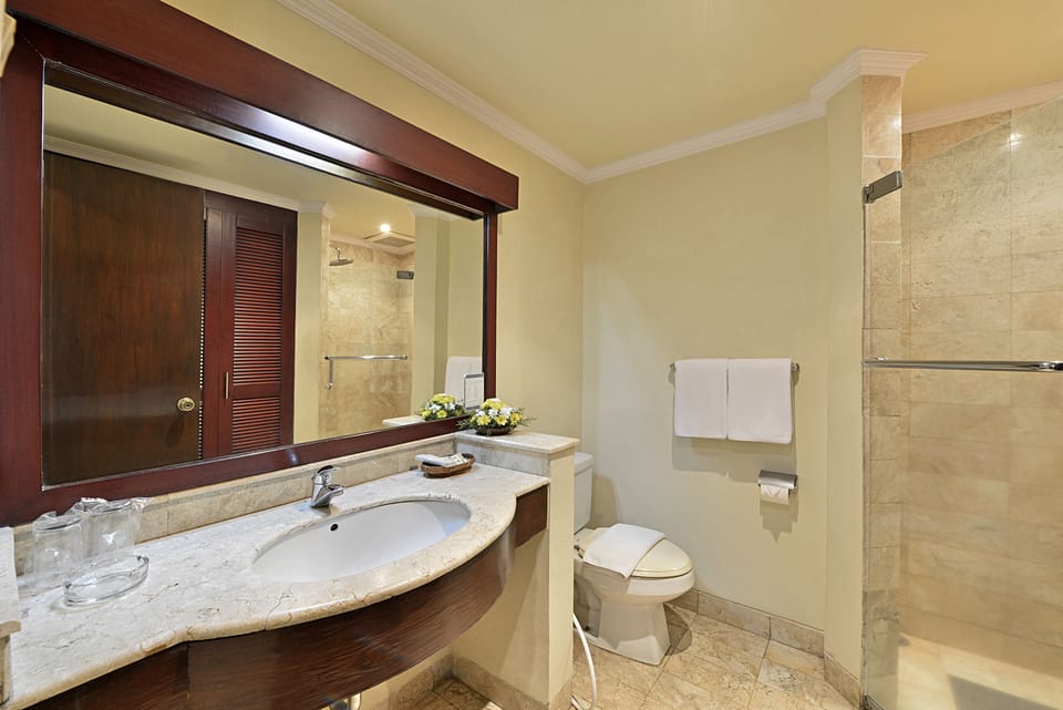 Shower, free toiletries, hair dryer
