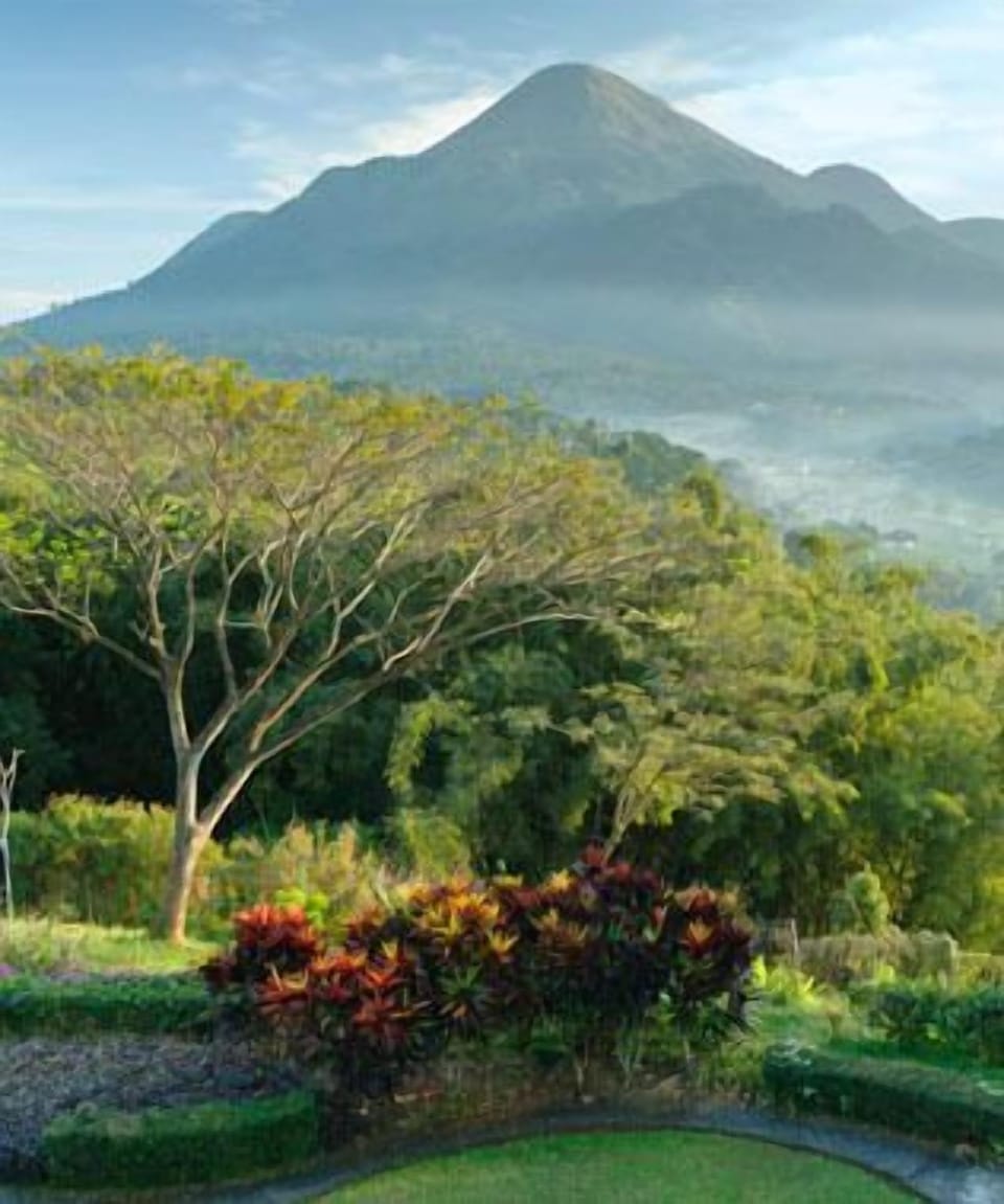 Mountain view