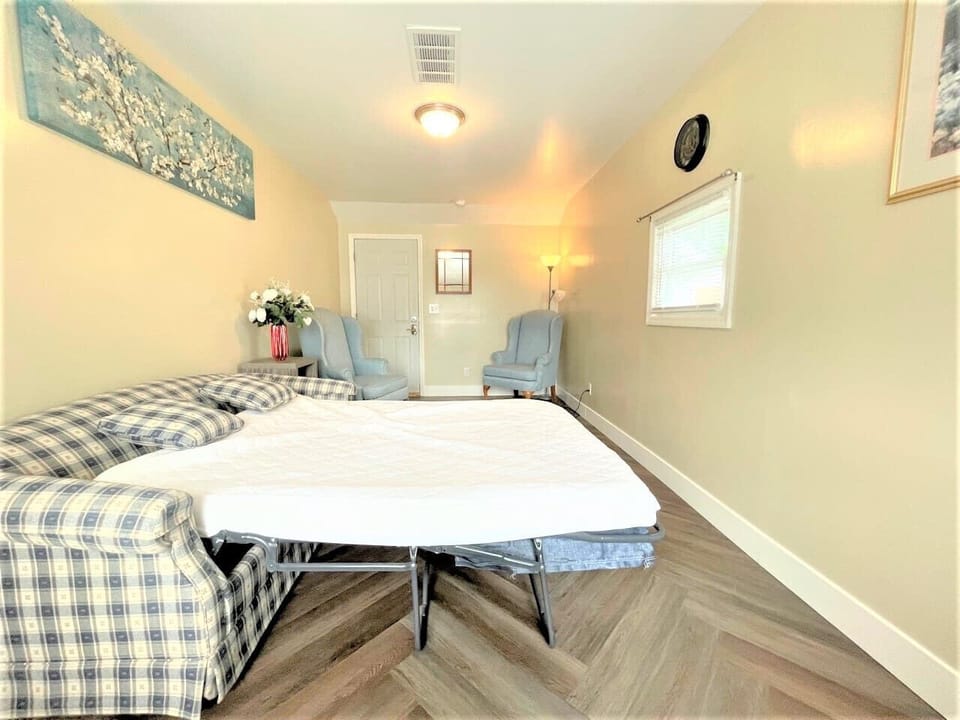 Full Sofa Sleeper in Family Room