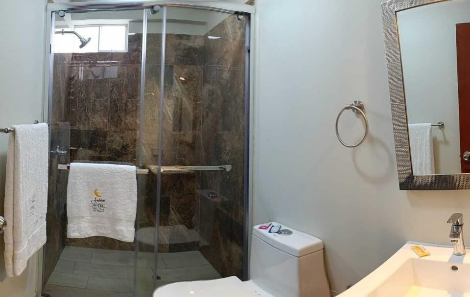 Deluxe Room | Bathroom | Shower, towels