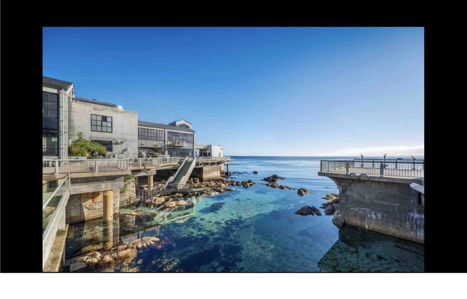 Monterey Bay Aquarium