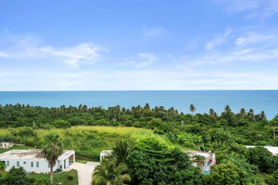 The spectacular view from the terrace