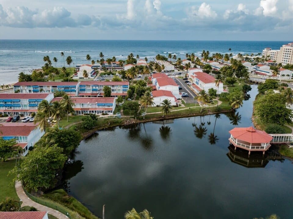 Aerial view of the community grounds and the beach.