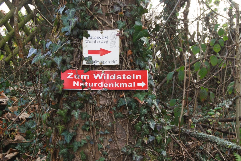 Land view from property