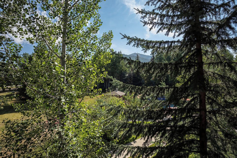 Nestled in lush mountain foliage, this scenic valley view showcases the peaceful natural setting surrounding the property.