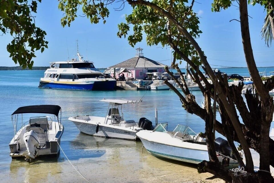 Cottage, 3 Bedrooms | Marina