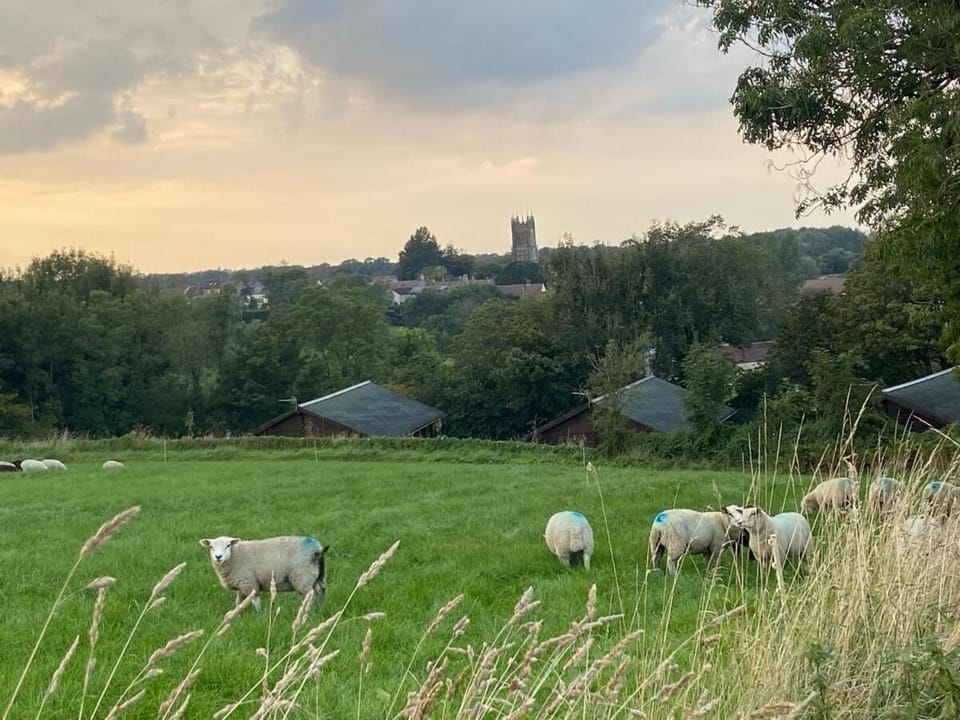 Hollybush Lodges Lodge in Mendip District