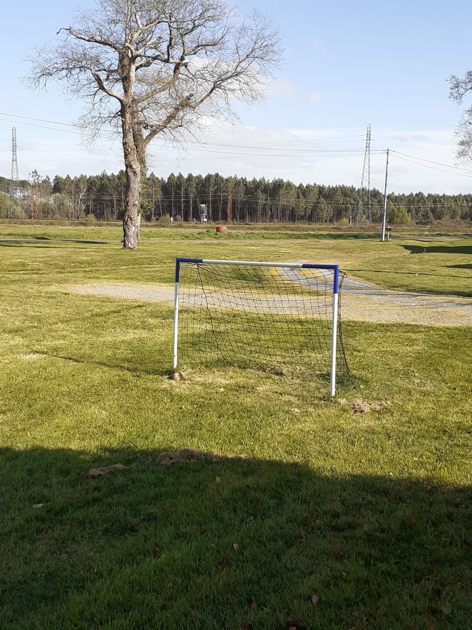 Sport court