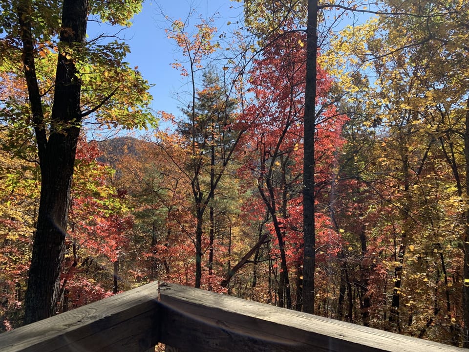 View from property