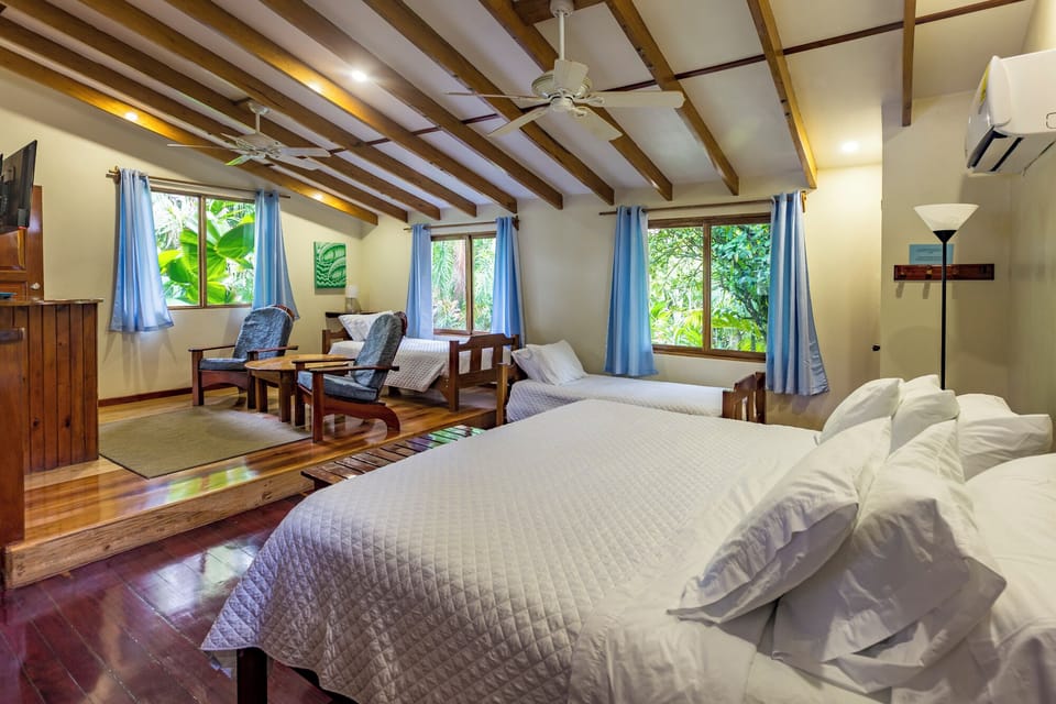 Premium Room, Balcony, Ocean View | In-room safe, WiFi (free), individually decorated