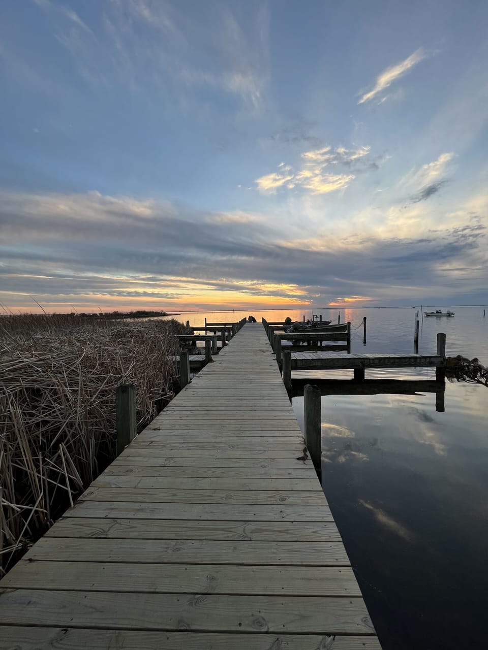 "And in this moment, the world felt still". Whalehead Historic  Park