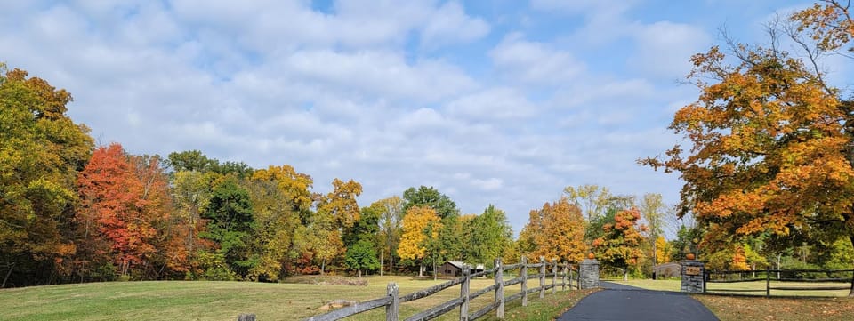 Panoramic 2