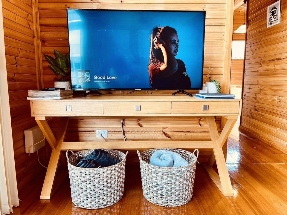 TV has a Fire TV stick to stream all streaming services.  