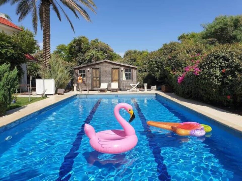 amazing large pool 