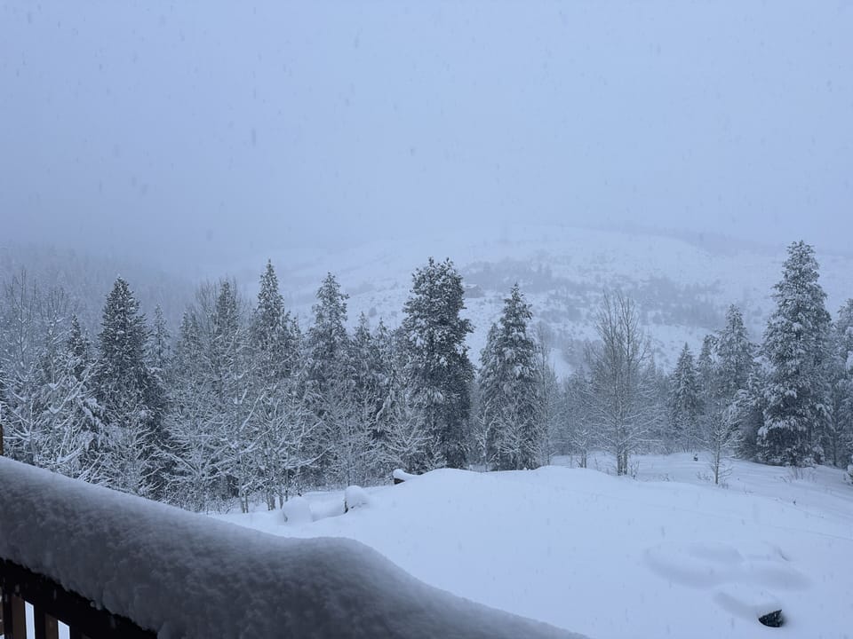 View from the deck