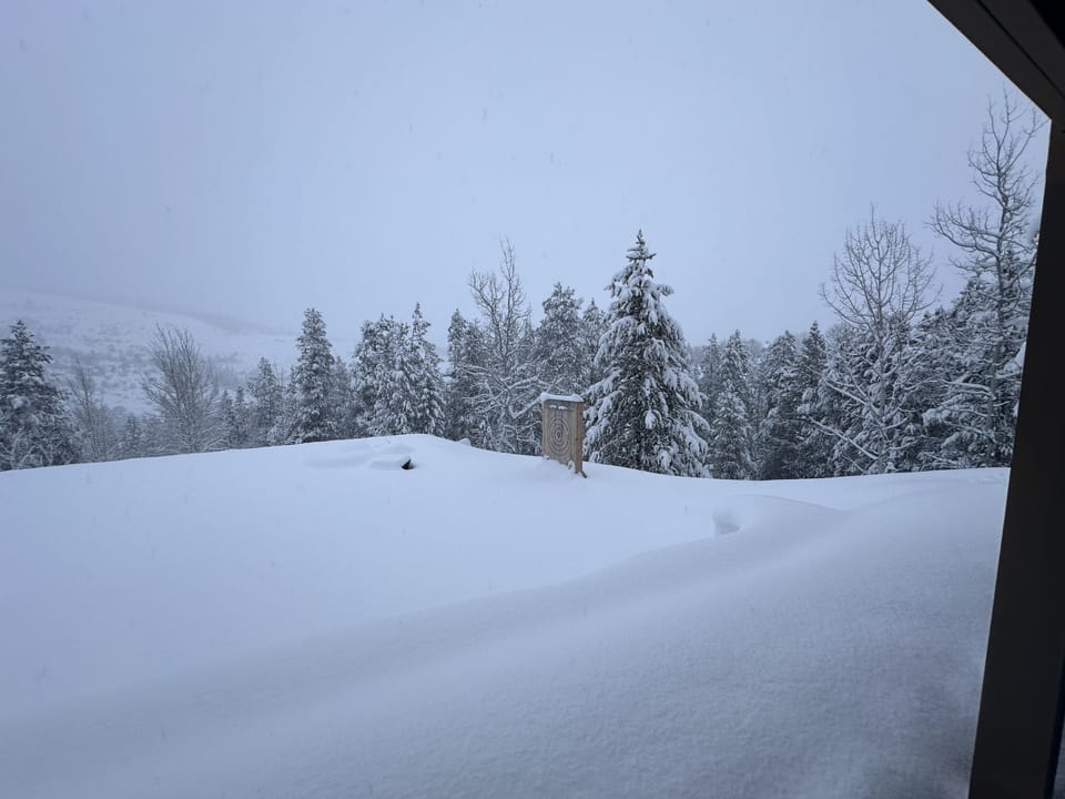 View of the back yard and axe throwing target (covered in snow)