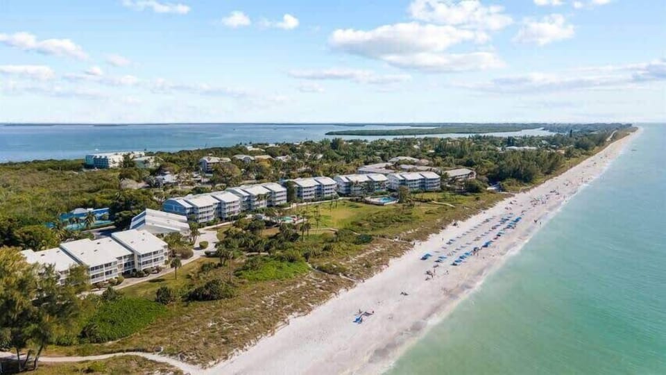 Aerial of the beach