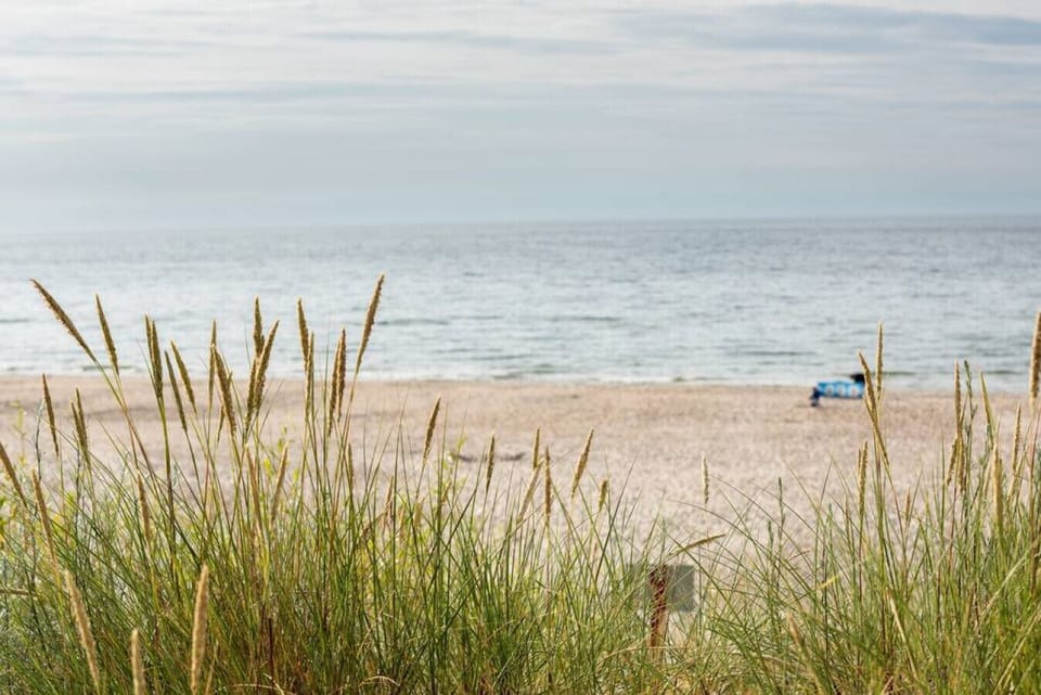 View of calm sea and wild beach – perfect spot for a morning walk.