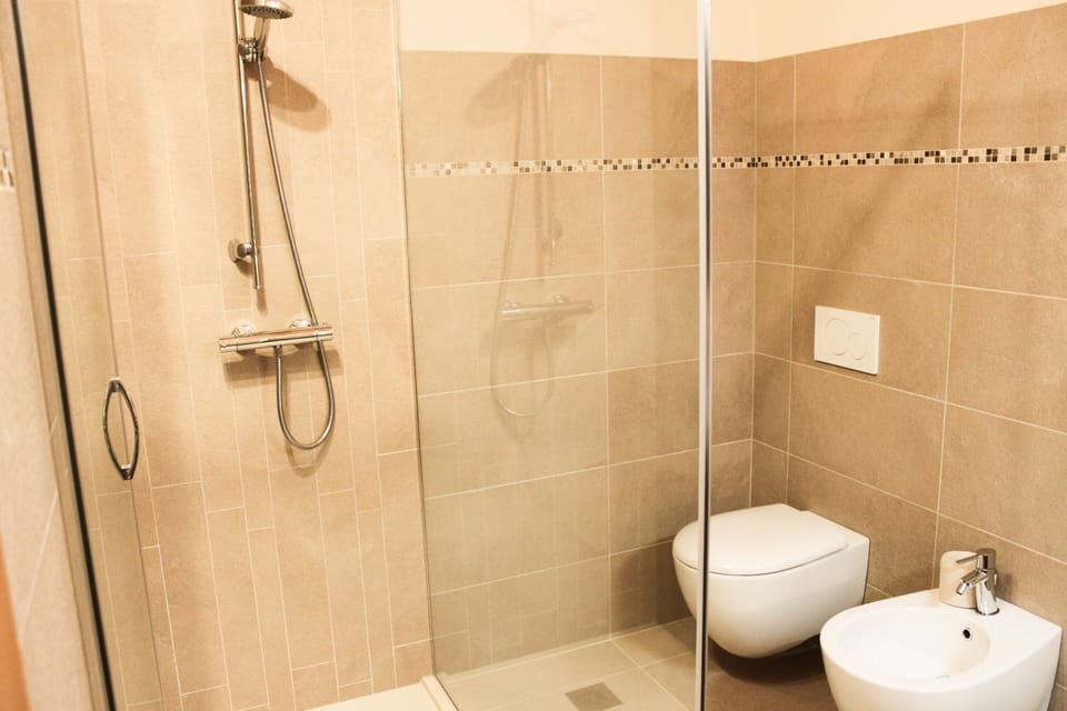 Deluxe Double Room | Bathroom | Shower, hair dryer, slippers, bidet