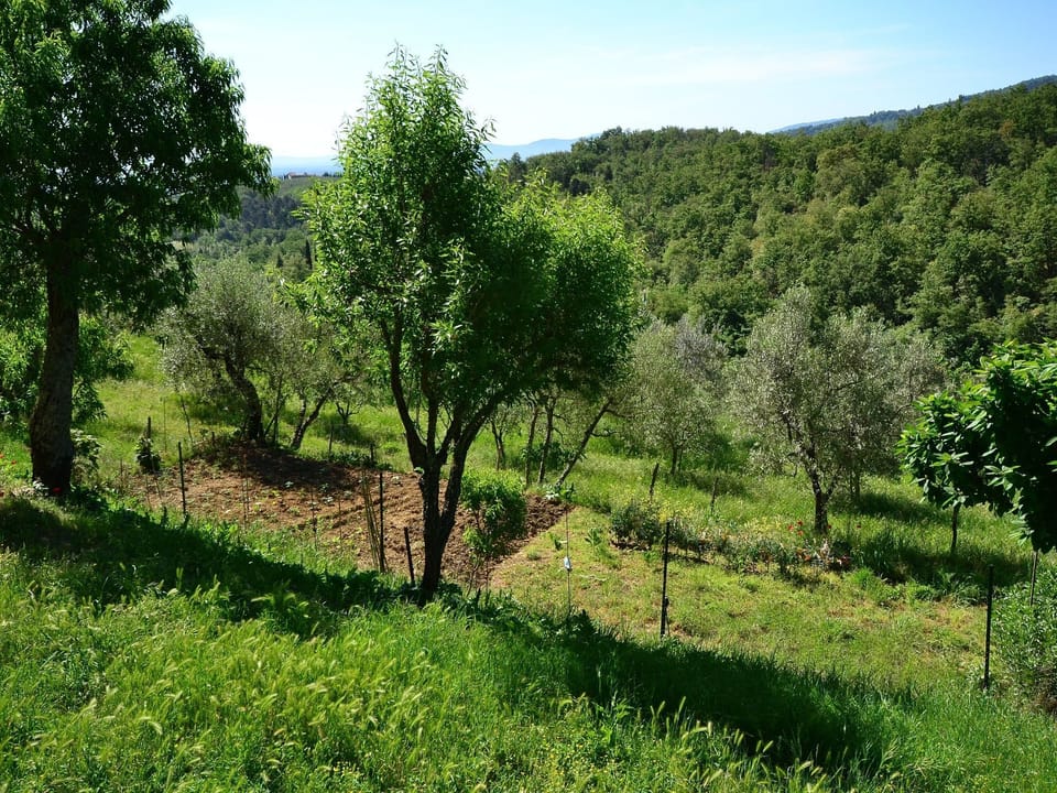 View from Holiday Home [summer]