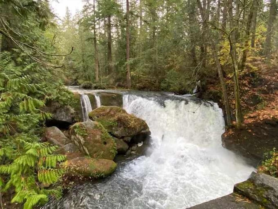 If you want to get outside for a bit, but aren't really interested in a big hike, Whatcom Falls is a good place to start. :)
