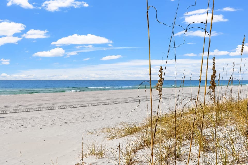 Beach Access