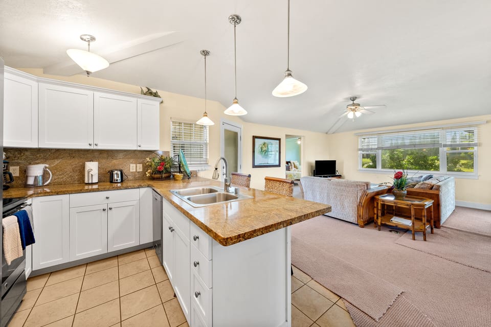 Kitchen / Living Area