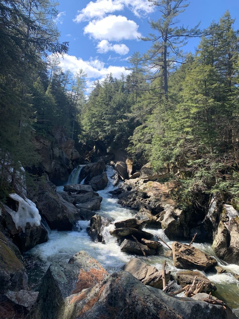Cavendish Gulf- stunning falls near the house! 