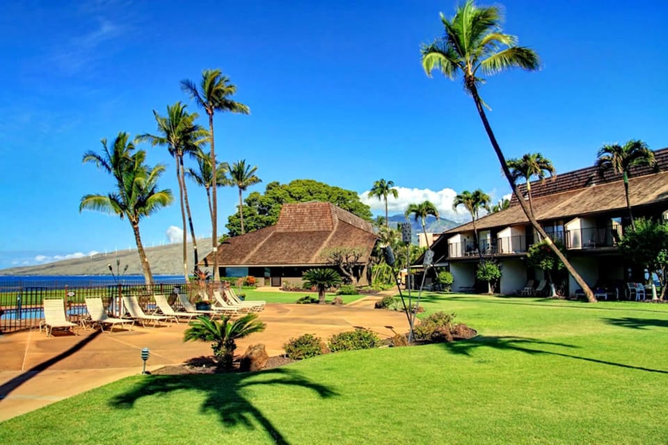 Condo (1 Bedroom) | Property amenity