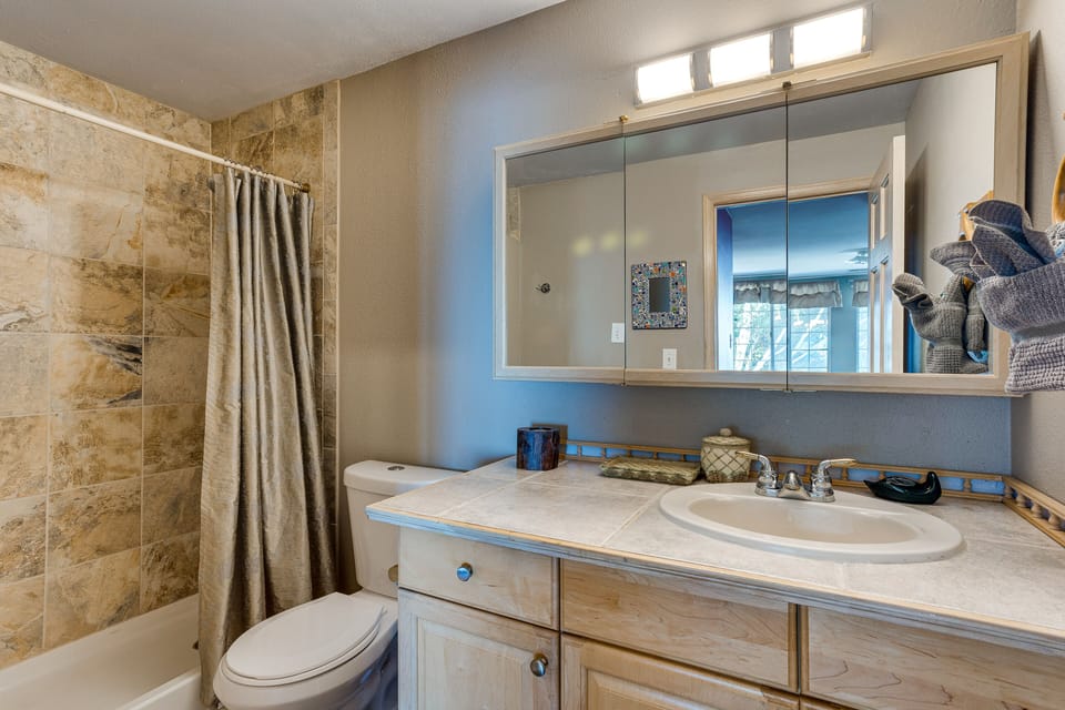 Federal Way Vacation Rental: Bay & Mountain Views! Cottage in Federal Way