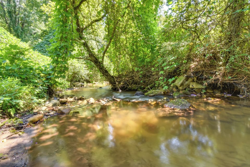 Cottage (3 Bedrooms) | Interior