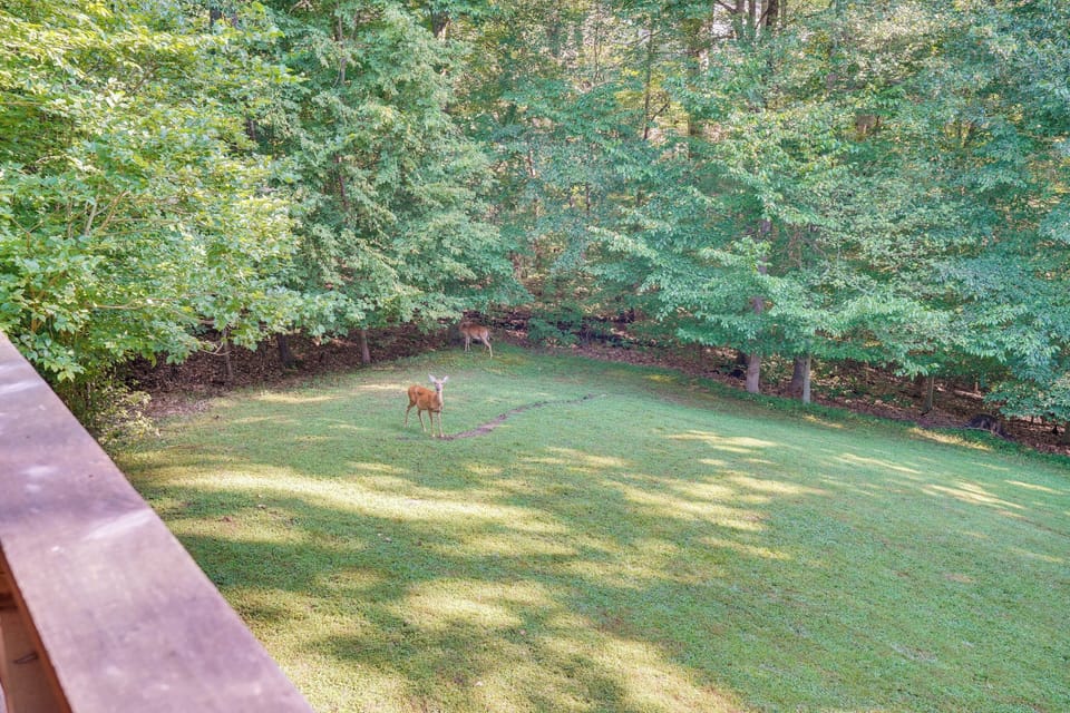 Cottage (2 Bedrooms) | Interior