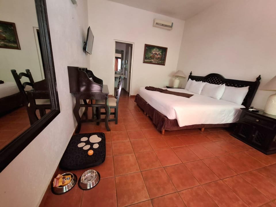 Room (Dog Friendly) | In-room safe, desk, laptop workspace, iron/ironing board
