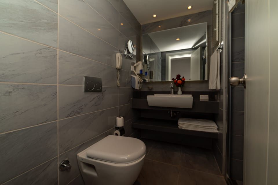 Shower, free toiletries, hair dryer, slippers